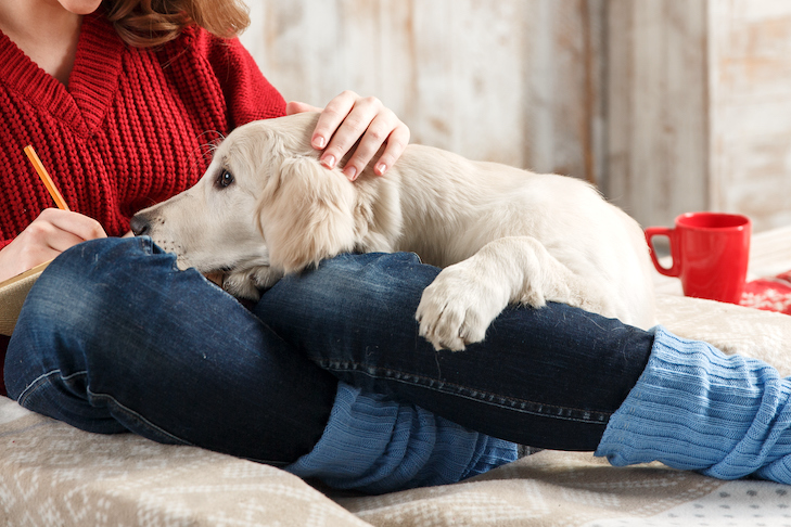 Can Canine Homeowners Experience the ‘Pet Blues?’ Study Says Positive