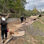 Volunteer Search & Rescue Canine Teams Reply to Hurricane Helene