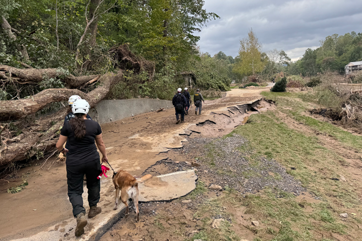 Volunteer Search & Rescue Canine Teams Reply to Hurricane Helene